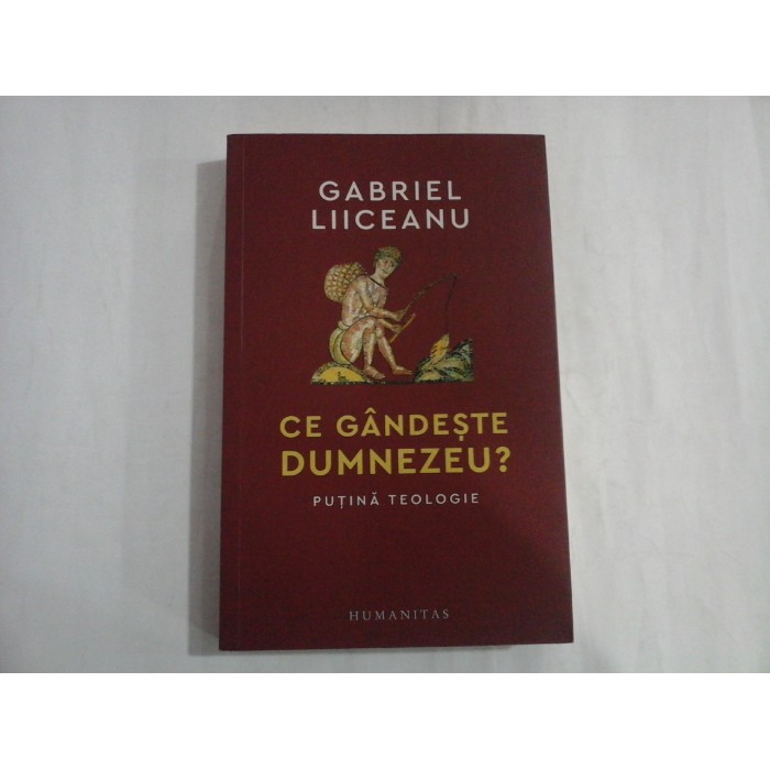     CE  GANDESTE  DUMNEZEU?  Putina teologie  -  Gabriel  LIICEANU 